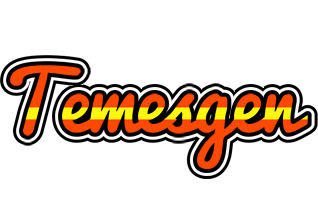 Temesgen madrid logo