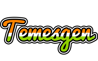 Temesgen mumbai logo