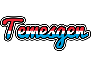 Temesgen norway logo