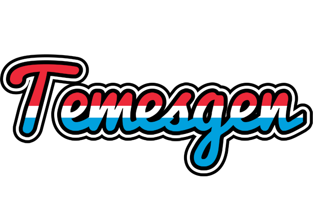 Temesgen norway logo