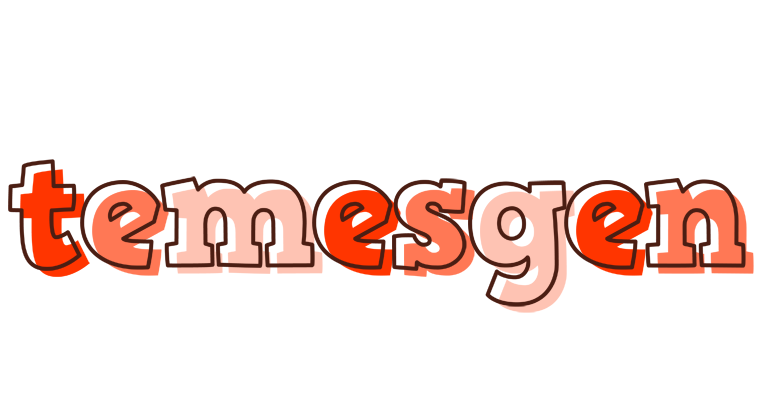 Temesgen paint logo