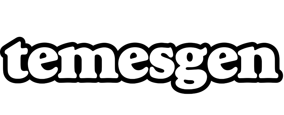 Temesgen panda logo