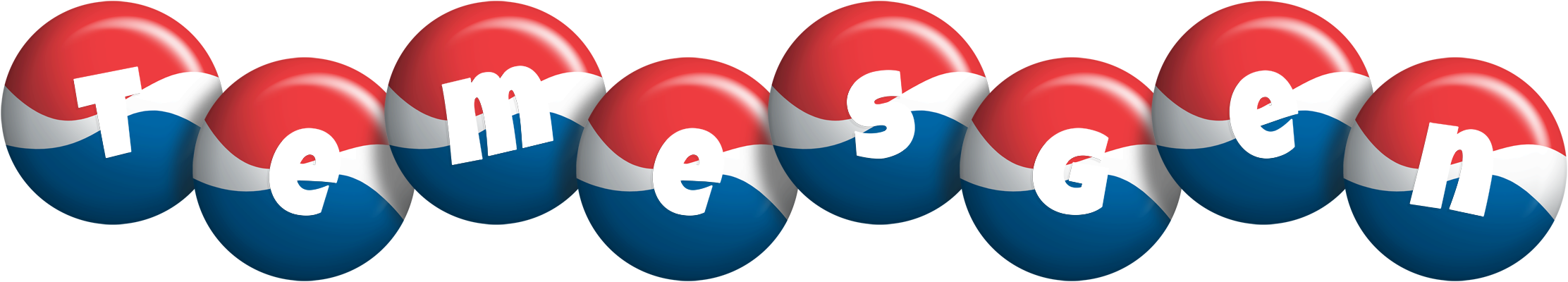 Temesgen paris logo
