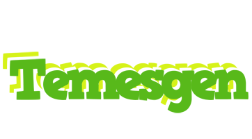 Temesgen picnic logo