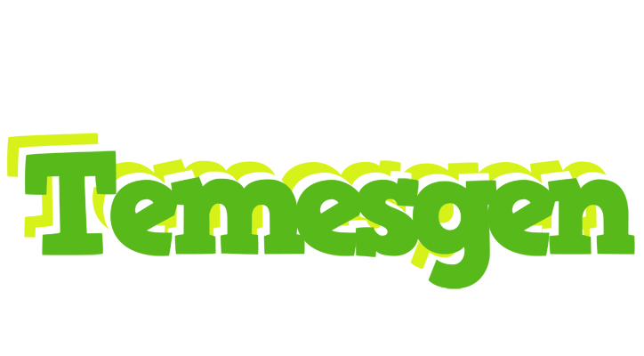 Temesgen picnic logo