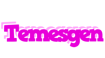 Temesgen rumba logo