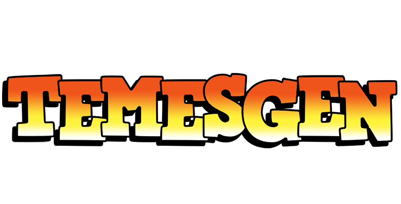 Temesgen sunset logo