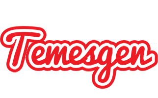 Temesgen sunshine logo