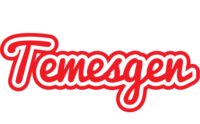 Temesgen sunshine logo