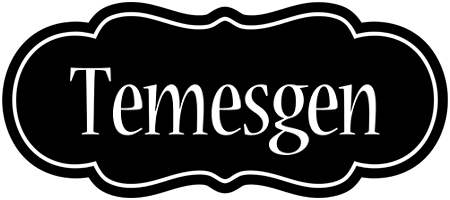 Temesgen welcome logo