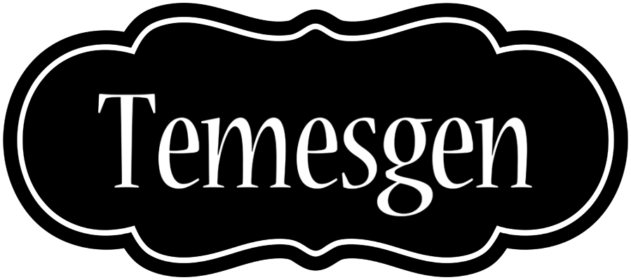 Temesgen welcome logo