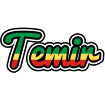 Temir african logo