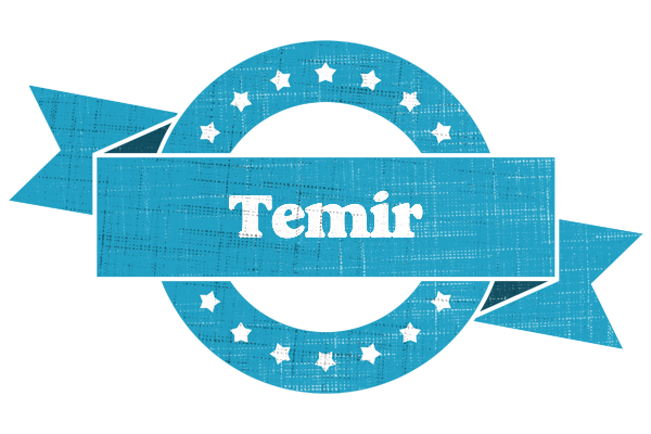 Temir balance logo