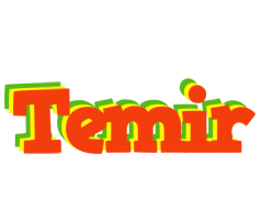 Temir bbq logo