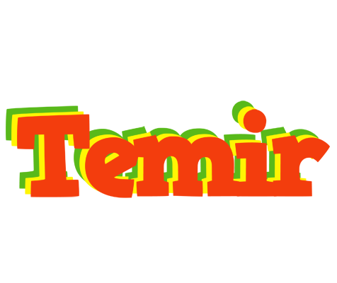 Temir bbq logo
