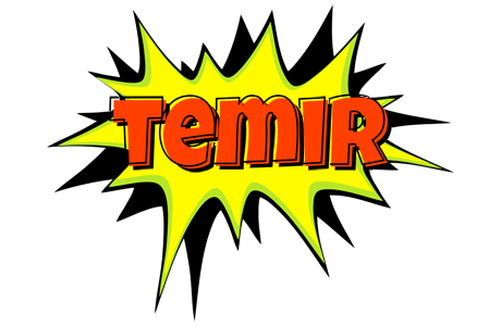 Temir bigfoot logo