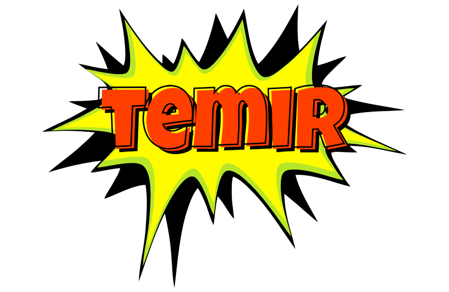 Temir bigfoot logo