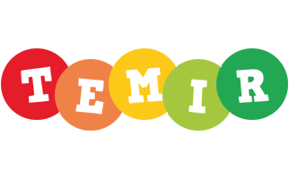 Temir boogie logo