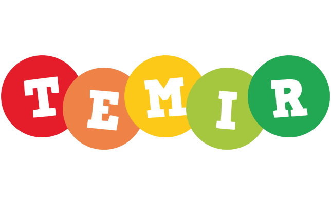 Temir boogie logo
