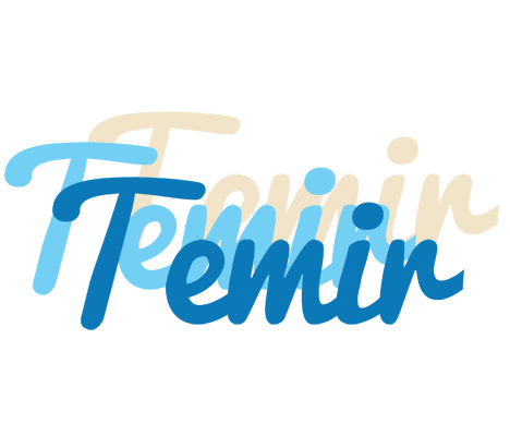 Temir breeze logo
