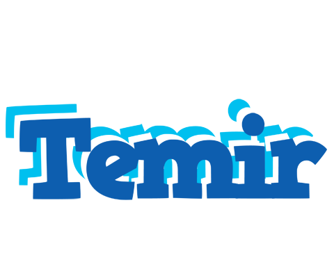 Temir business logo