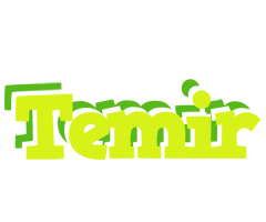 Temir citrus logo