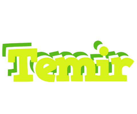 Temir citrus logo