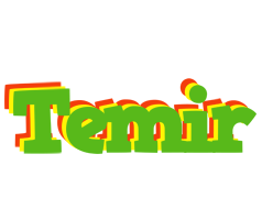 Temir crocodile logo