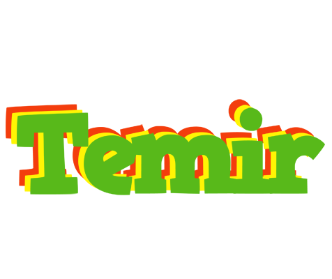 Temir crocodile logo