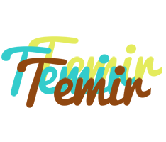 Temir cupcake logo