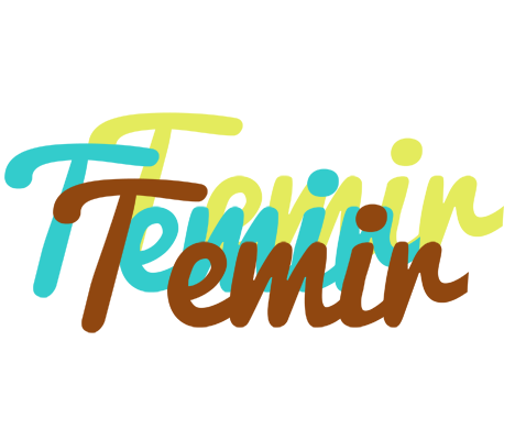 Temir cupcake logo