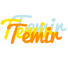 Temir energy logo