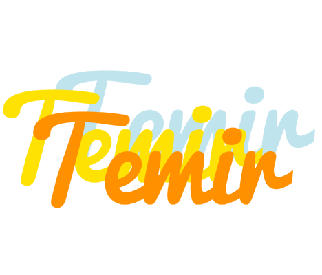 Temir energy logo