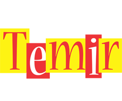 Temir errors logo