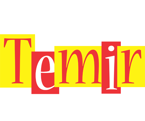 Temir errors logo