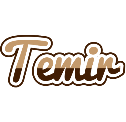 Temir exclusive logo