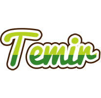 Temir golfing logo