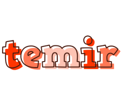 Temir paint logo