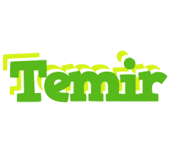 Temir picnic logo