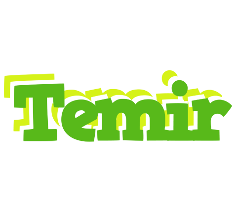 Temir picnic logo