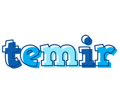 Temir sailor logo