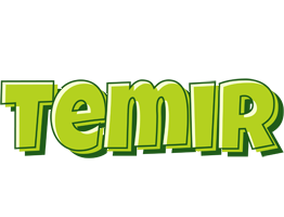 Temir summer logo