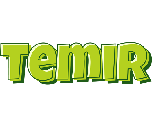 Temir summer logo