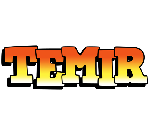 Temir sunset logo