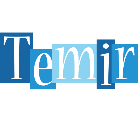 Temir winter logo