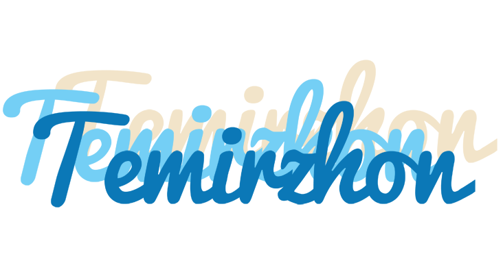 Temirzhon breeze logo