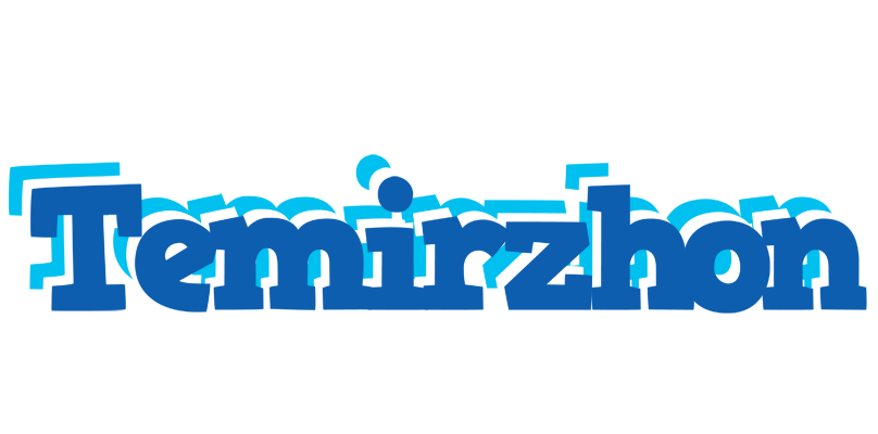 Temirzhon business logo