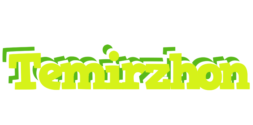 Temirzhon citrus logo