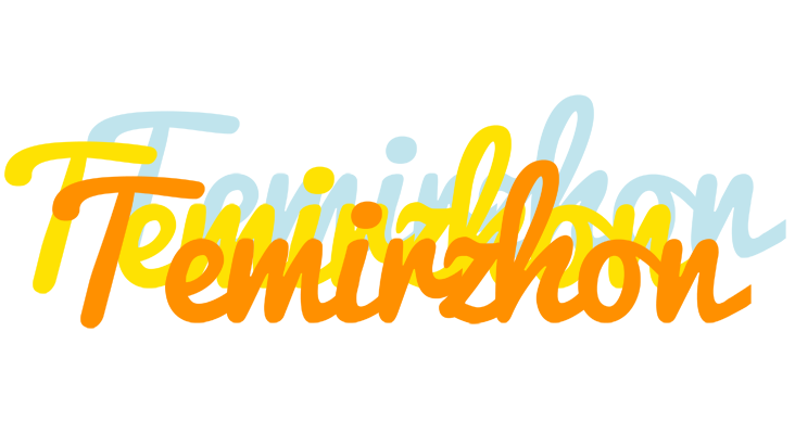 Temirzhon energy logo