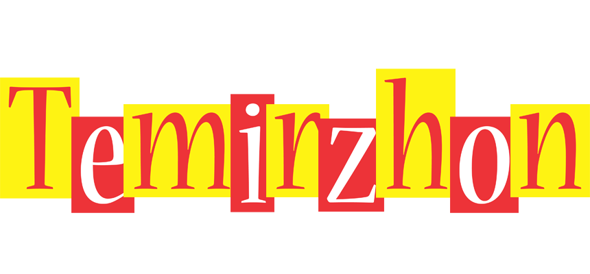 Temirzhon errors logo